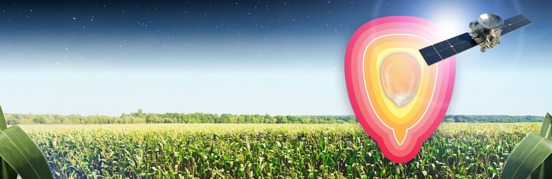 Więcej niż nasiona