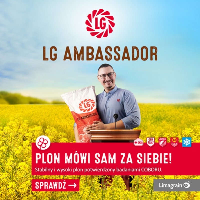 Lg Ambasador 600X600