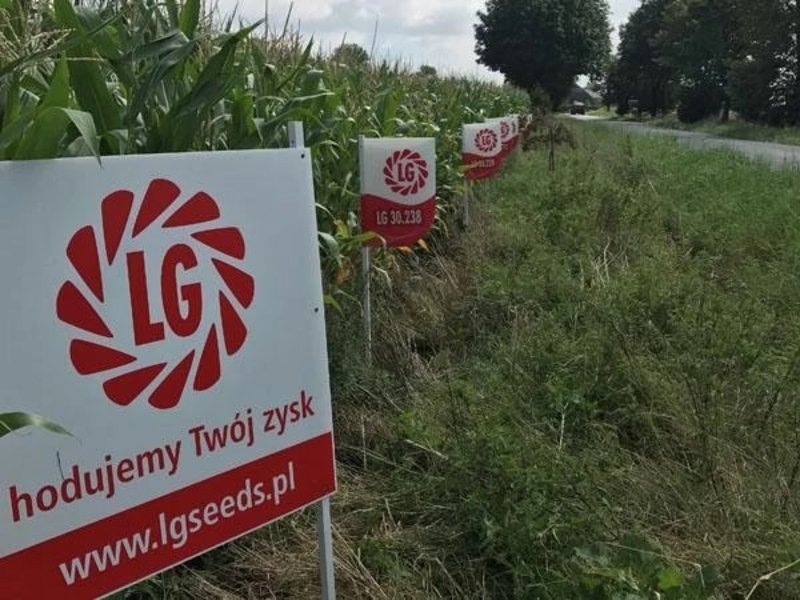9Gospodarstwo Jedrzejewo