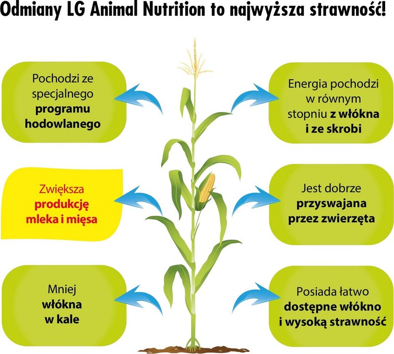 Lg Animal Nutrition