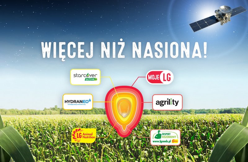 Top Baner