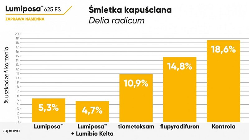 Lumiposa Wykres Smietka Kapusciana Images Blog 2022 1903 Thumb Xl
