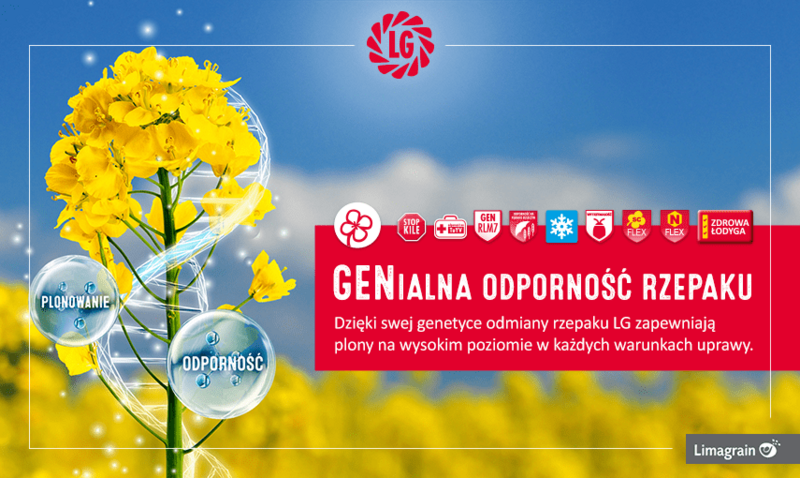 Kalendarz Plantatora Rzepaku 1