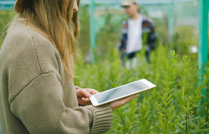 innowacje w rolnictwie