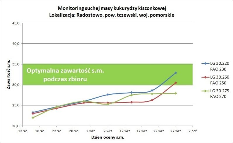 31Monitoring Radostowo
