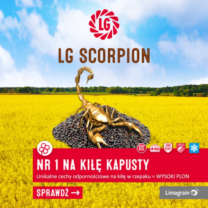 Lg Scorpion 600X600Px