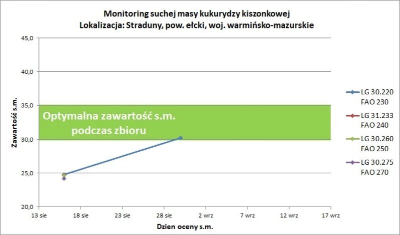 1Monitoring Straduny