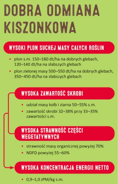 Wybor Kukurydzy Na Kiszonke Lg