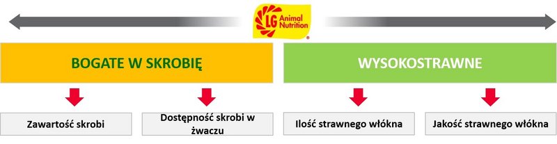 2 Lgan