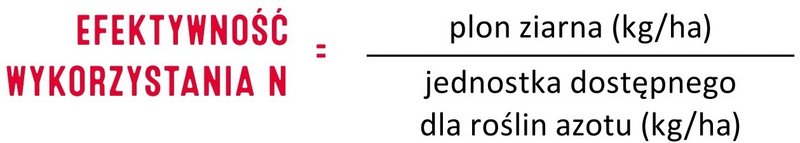 3 Efektywno Wykorzystania N