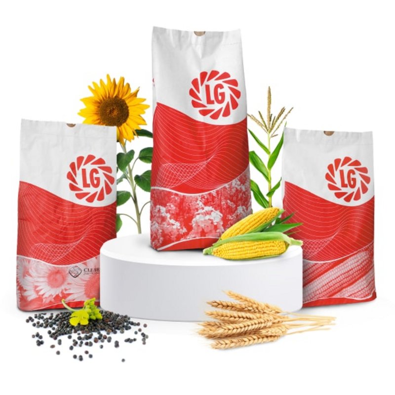 Lg Intro Worki