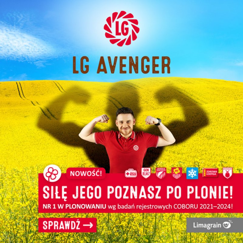 Lg Avenger 600X600