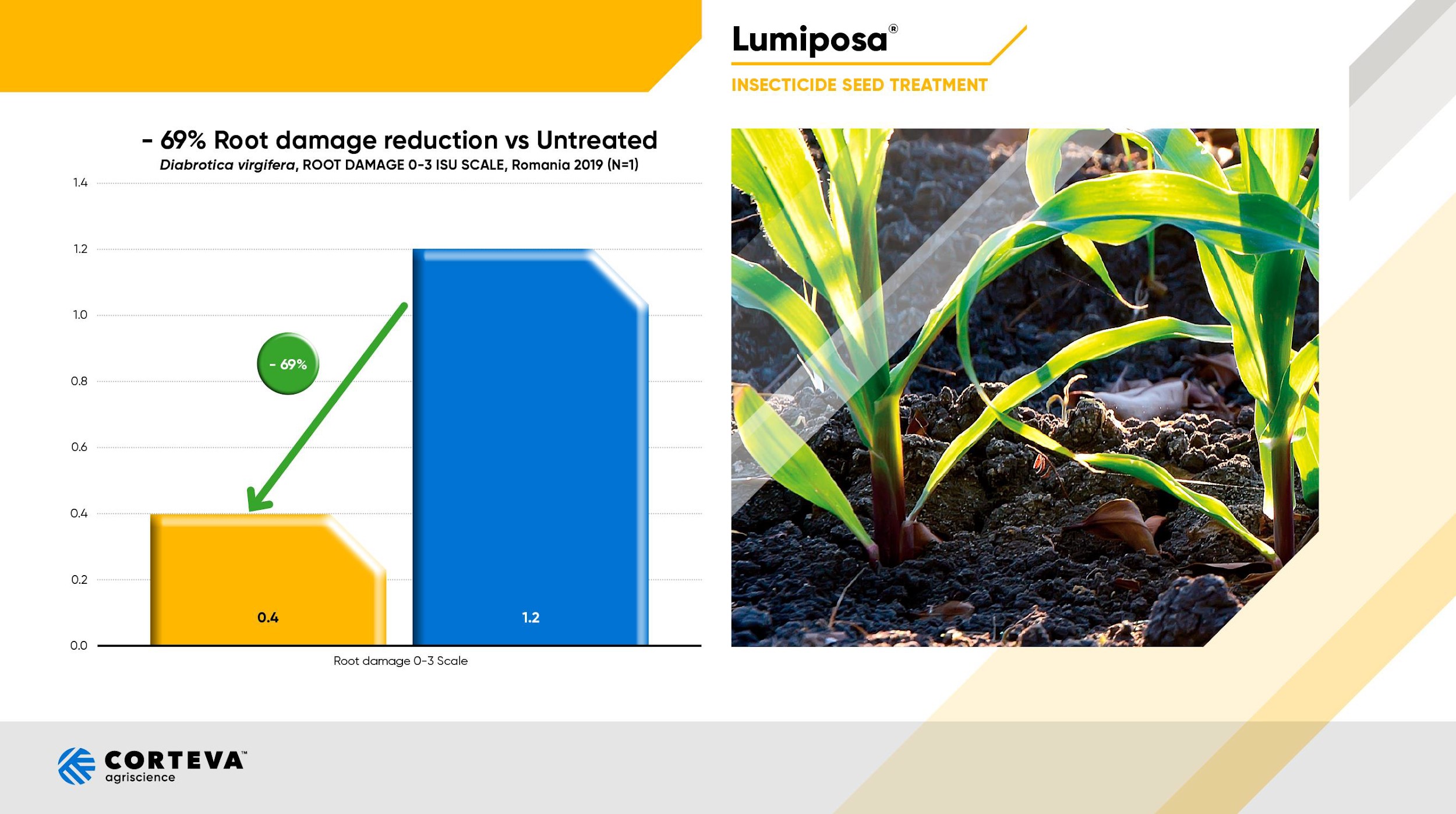 zaprawa nasienna na szkodniki kukurydzy