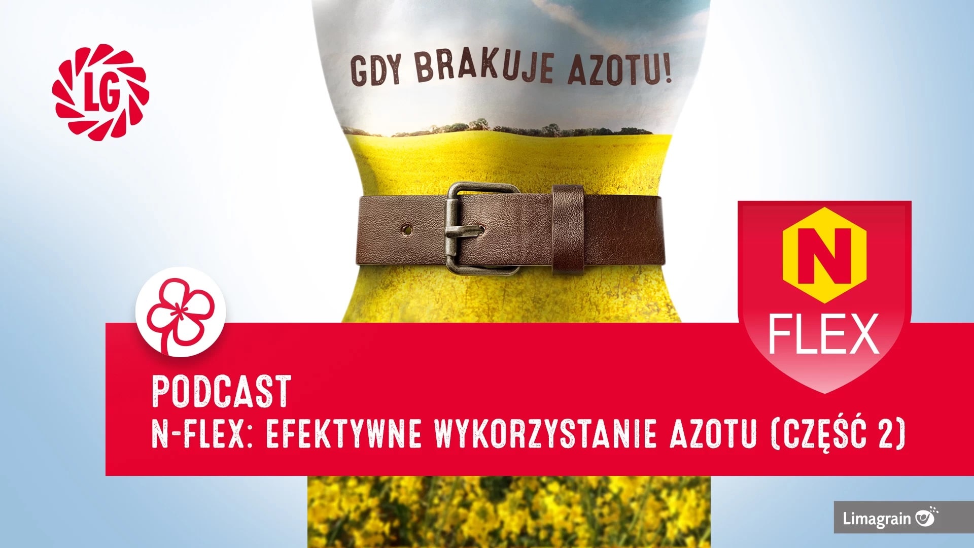 odmiany hybrydowe rzepaku