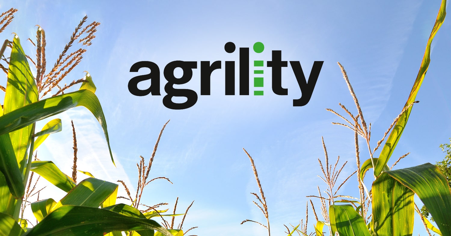 230307 Kafelek Agrility 2