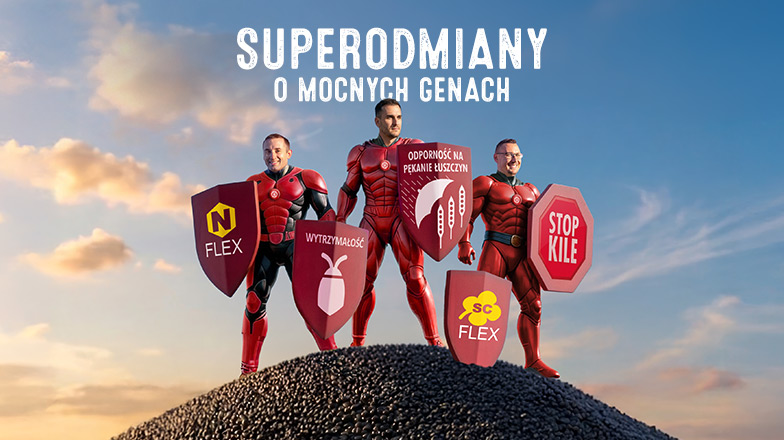 Rzepak Superodmiany O Mocnych Genach