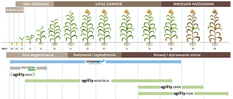 Infografika Wsparcie Na Kazdym Etapie Rozwoju Kukurydzy
